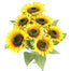 Sunflower Bush - Gold