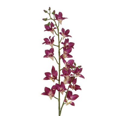 34 in Dendrobium Spray