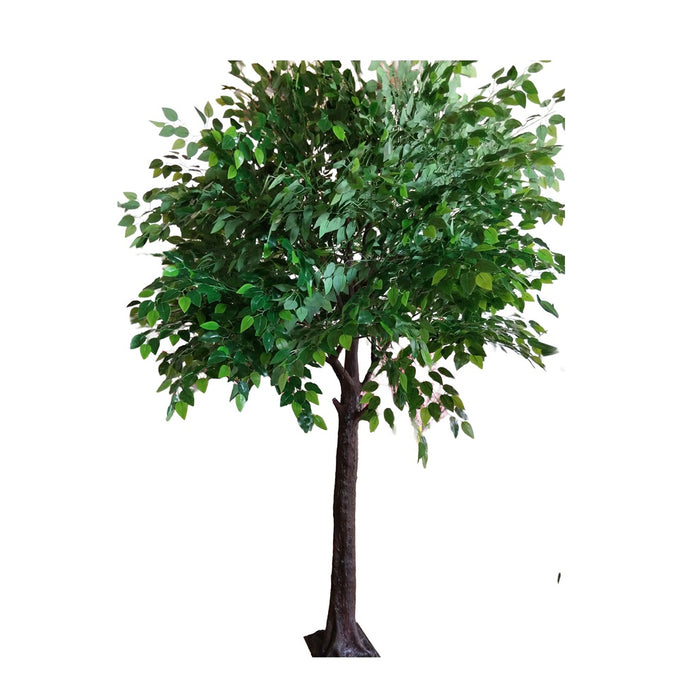 10' Banyan Tree - Green