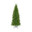 New Hampshire Pine Trees