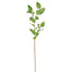 45" Salal Leaf Spray - Green