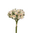 13 in Polyester Mini Wild Rose Bundle