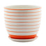 6" White/Orange Striped Pot w/Saucer