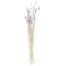 Bunny Tail - Bleached