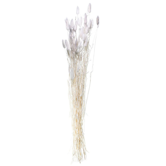 Bunny Tail - Bleached