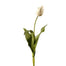 24.5" Tulip Dutch Close - Orange/Green