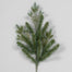 25.5" New Blue Spruce Spray X 21