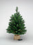 Vinyl Pre-Lit Deluxe Evergreen Tree