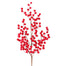 29 in Crabapple Spray - Red