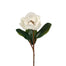 Magnolia w/Leaves - Cream
