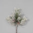 Snow Mixed Needle Pine Pick