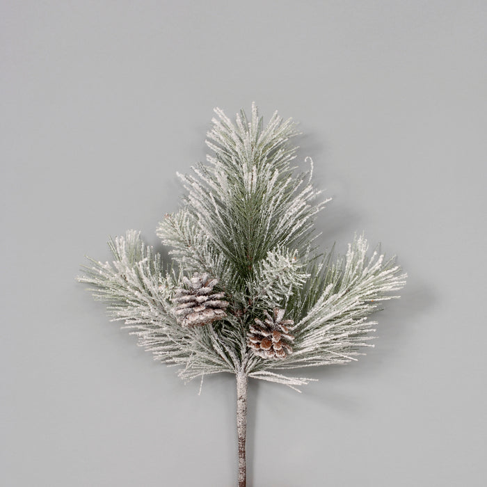 Snow Mixed Needle Pine Pick