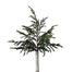 28 in Norfolk Pine Spray - Green