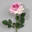 25 in Single Georgia Rose