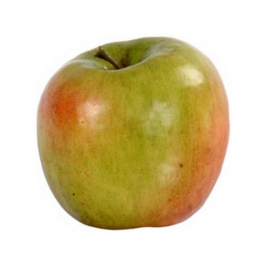 3 in Golden Delicious Apple - Mauve/Green