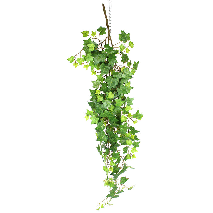 Traditional Ivy Vine Stem