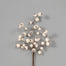 14"L Hw Styro Crabapple Pick X 3 White
