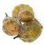 Pumpkin in Bag Assortment - Gold/Brown (5/Bag)