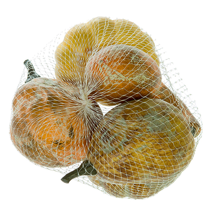 Pumpkin in Bag Assortment - Gold/Brown (5/Bag)