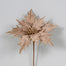 18" Velvet/Glitter Edge Holly Leaves Poinsettia - Taupe/Gold