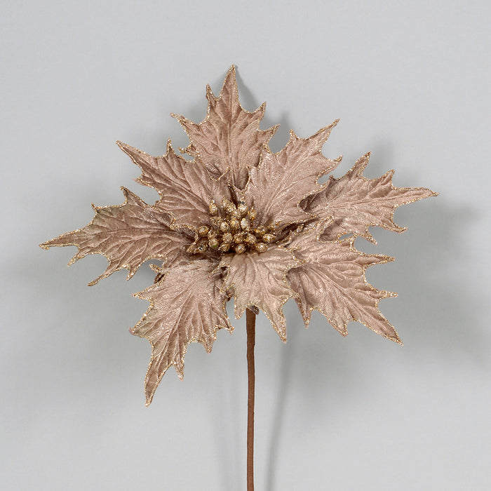 18" Velvet/Glitter Edge Holly Leaves Poinsettia - Taupe/Gold