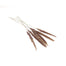 Dried Pampas Grass