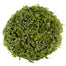 6 In Twig Berry Ball