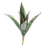 14" Agava Plant - Green/Burgundy