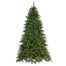 Savannah Pine Tree
