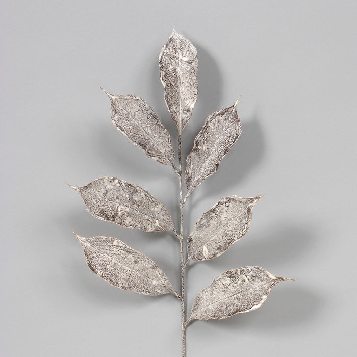 29" Pe Frost Magnolia Leaf Spray