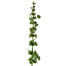 43 In Bells of Ireland Stem