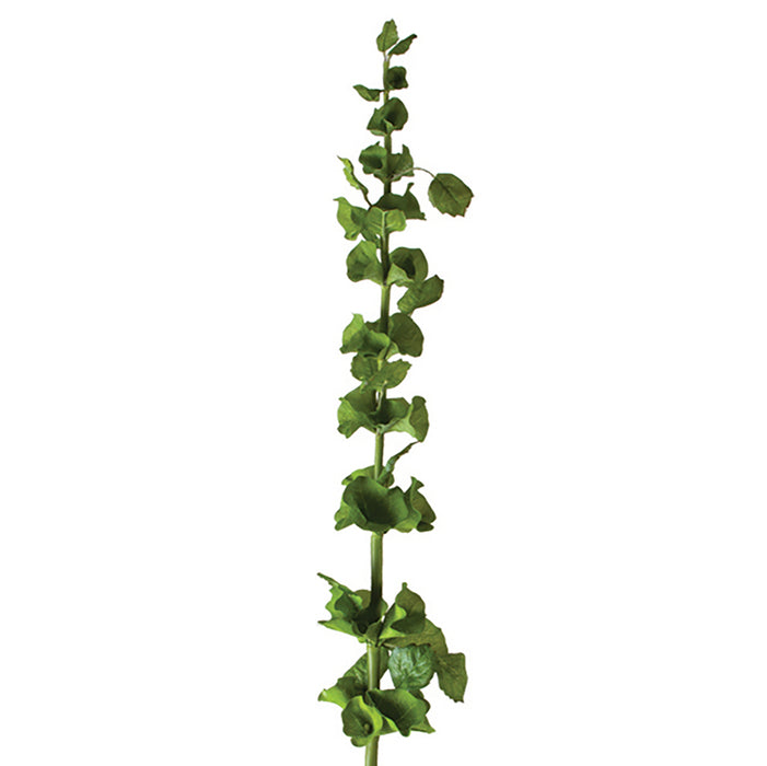 43 In Bells of Ireland Stem