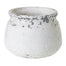Shabby Pot - 7" x 5.25"