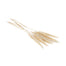 Dried Pampas Grass