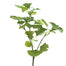 33 in Ginkgo Spray Variegated Green