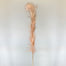 Dried Pampas Grass
