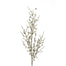 Glitter Boxwood Berry Spray 28"- Platinum