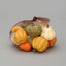 Small Pumpkins & Gourds