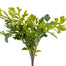 16 in Fern Grass Bush Green