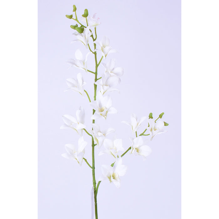 34" Dendrobium Orchid Stem - White
