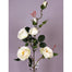 33" Austin Rose Spray X 4 - Cream