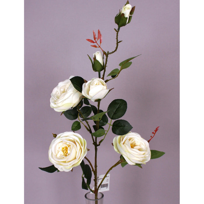 33" Austin Rose Spray X 4 - Cream