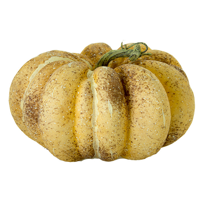 7 in Pumpkin Beige Brown