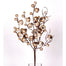 Frosted Iced Crabapple Pk 15" Champagne