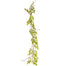 Wisteria Foliage Garland 5 Ft - Green