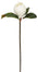 24" Small Magnolia Stem - Two-Tone White