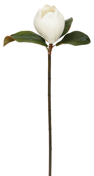 24" Small Magnolia Stem - Two-Tone White