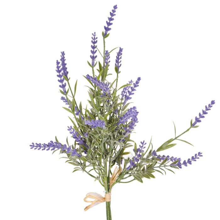 17 in Lavender Bundle X 7 Lavender