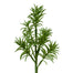 17 in Senecio Spray - Green