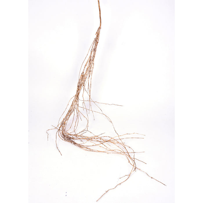 64" Iced Twig Garland - Champagne